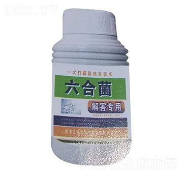 ���Ͼ����⺦���ã�-����