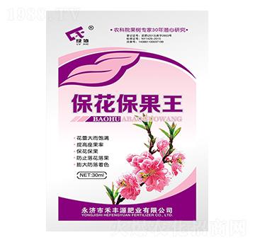 ����������-���SԴ�ʘI(y��)