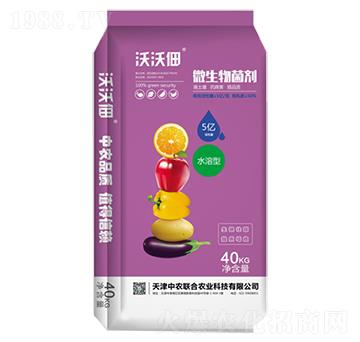 5�|΢�������-���ֵ�-���r��