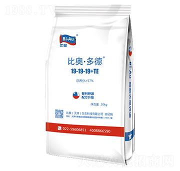 �ȊW�����19-19-19+TE-���r(n��ng)(li��n)��