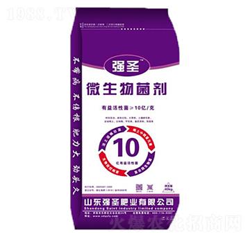 10�|΢�������-��ʥ