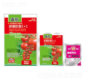 ����Ě������1+1-�A