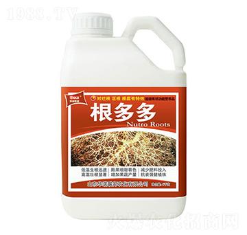 �����-�A�Z(li��n)��