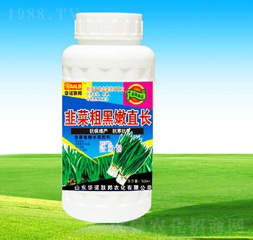 �²˴ֺ���ֱ�L(zh��ng)-�A�Z(li��n)