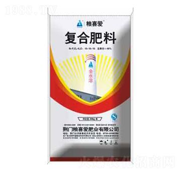 �������ϵ�Џ�(f��)�Ϸ�-�Zϲ�۷ʘI(y��)