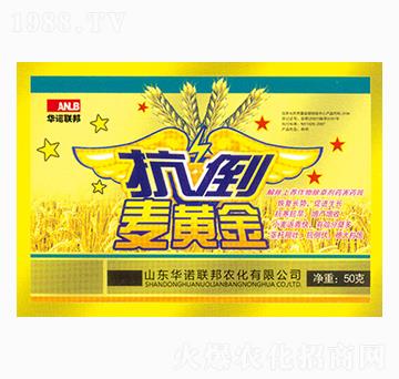 �������S��-�A�Z(li��n)��