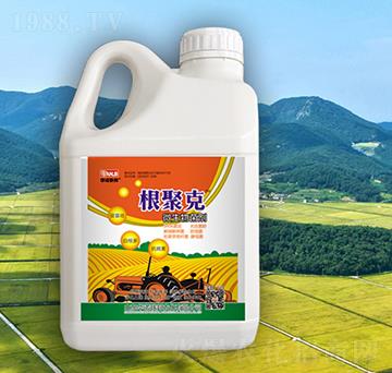 ���ۿ�΢�������-�A�Z