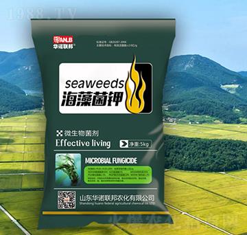 ������-�A�Z(li��n)��