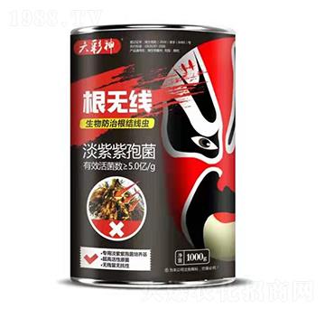 �������߾�-���o��-�f��