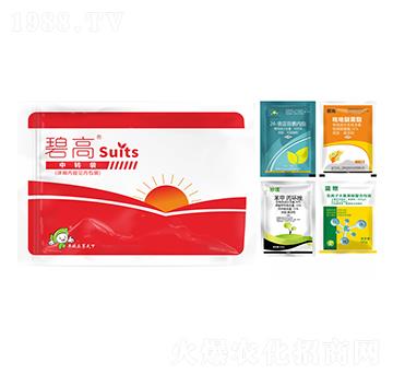 ����I�B(y��ng)�ײ�-�̸�-�S