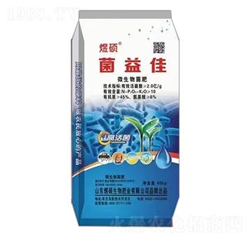 �����-�ϴT����