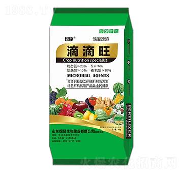 �ε���-�ϴT����