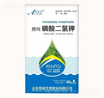 ��������-������-�ϴT����