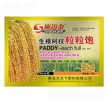 ������������-ʩ�~��