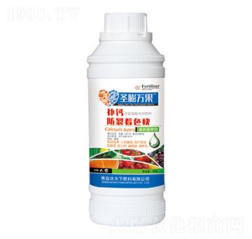 �a(b��)�}������ɫ��-ʥ���f