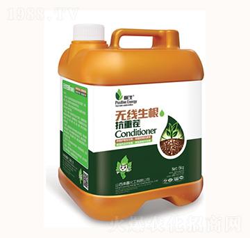 �o���������ز�-���λ���