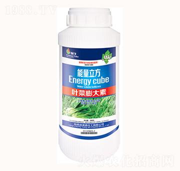 �~�������-���λ���