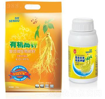 �ЙC��⛷�-ɭ��