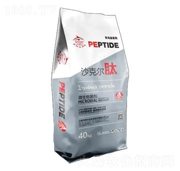 ΢�������-ɳ�ˠ���-�������r�I(y��)