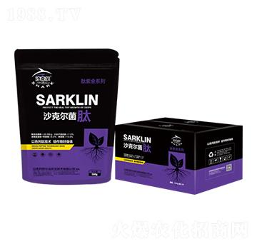 ɳ�ˠ�����-�������r�I(y��)