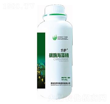 ̼ø���徫-���o