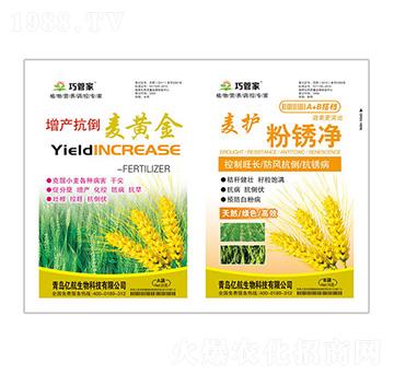 ���a�������S��+���o���P��-ؐ������