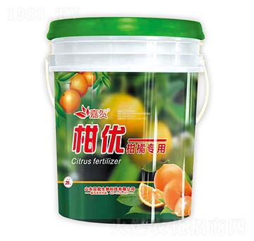 ���ٌ�(zhu��n)��-�̃�(y��u)-ؐ������