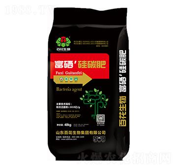 10�|��������̼��-�ٻ�����