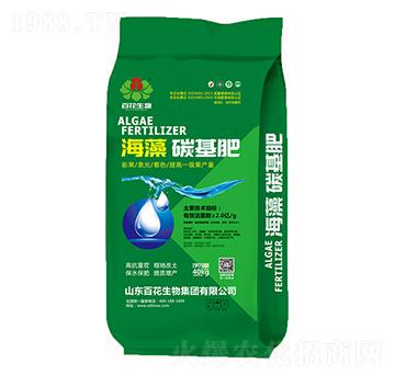 2�|���塤̼����-�ٻ�����