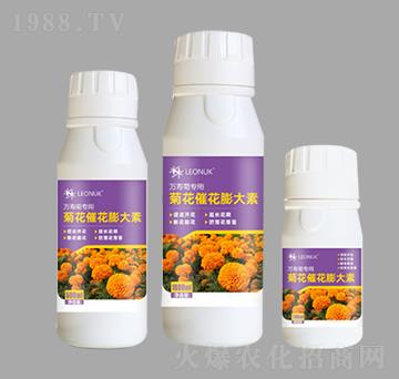 菊花催花膨大素（萬壽菊專用）-萊昂化學(xué)