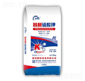 ���������-�~����-��������