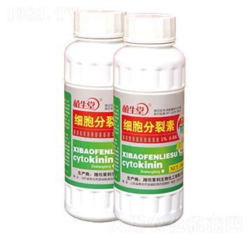 ��(x��)�������� ֲ���� �R������