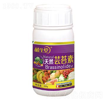 ��Ȼ�|̦�� ֲ���� �R������