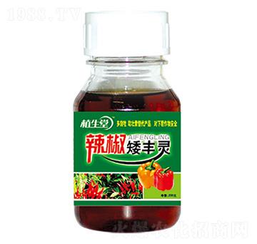 �������S�` �R������