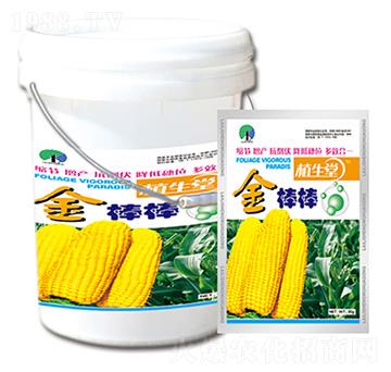 ����� ֲ���� �R������