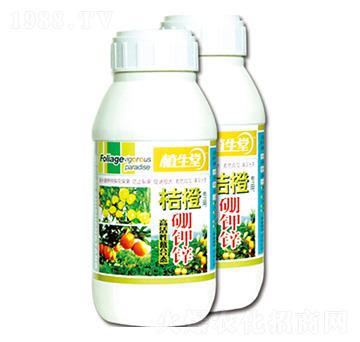 �۳�����\ ֲ���� �R������