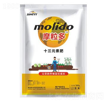 ʮ��Ԫ�� Ħ���� ˹����