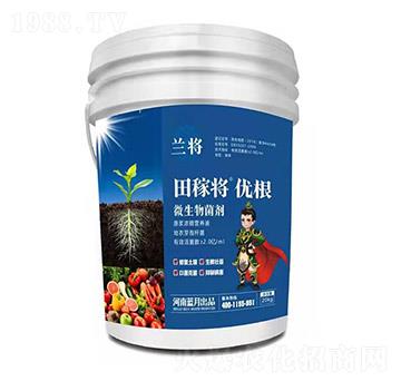 ΢������� ��ڌ���(y��u)�� �m�� �{���r��