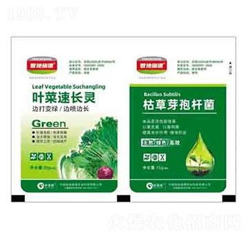 �~�����L�`+�ݲ�ѿ�ߗU�� ����