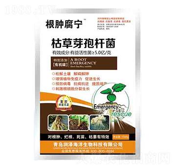 �ݲ�ѿ�ߗU�� ���[���� ����