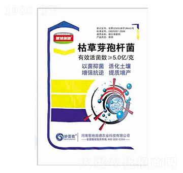 �ݲ�ѿ�ߗU�� ����