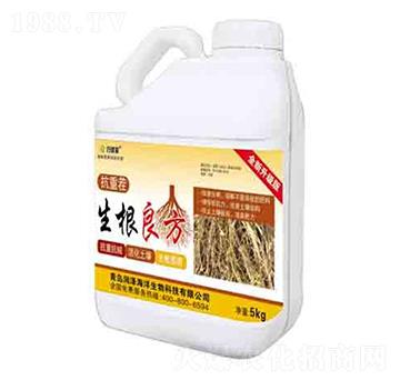 �������� ��(r��n)��