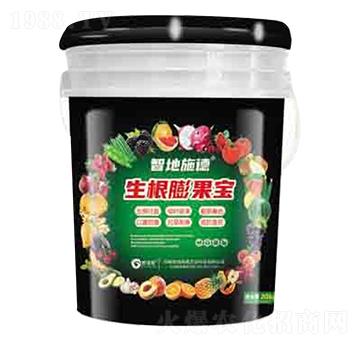 ��������� ����