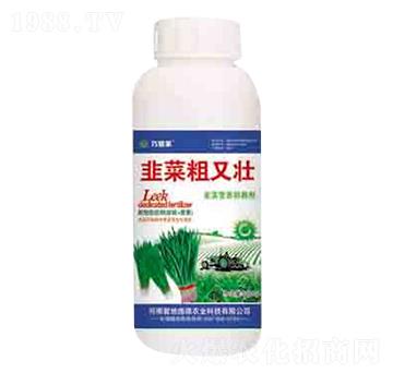 �²˴��։� ����