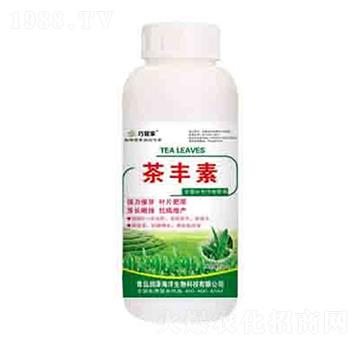 ���S�� �ɹܼ� ��(r��n)��