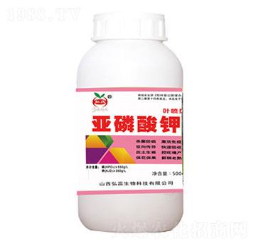 500g�������-����