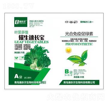 �~�˶�S�������L��+��