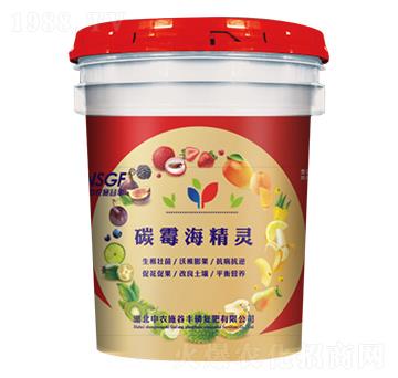 ̼ù�����`-���r(n��ng)ʩ���S