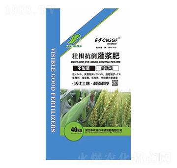 �Ѹ��������{�� ���r(n��ng)ʩ���S