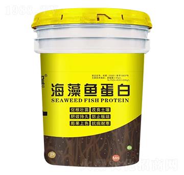 �����~���� ����